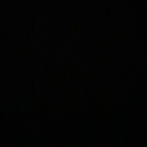 Meet your Posher, Raeshanta